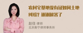 农村宅基地没有证如何土地纠纷？谢谢解答了