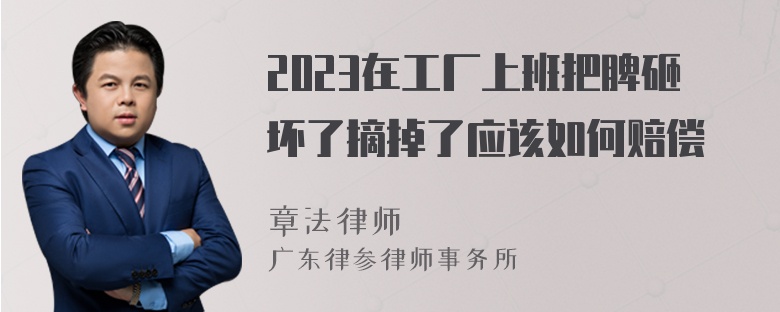 2023在工厂上班把脾砸坏了摘掉了应该如何赔偿