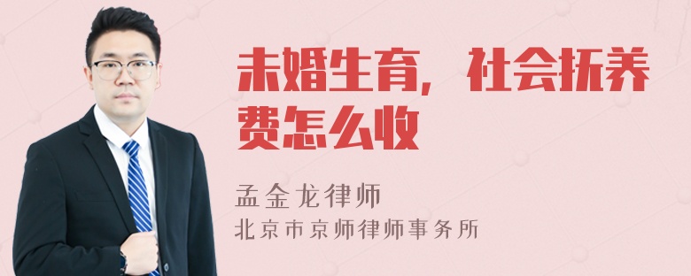 未婚生育，社会抚养费怎么收