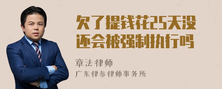 欠了提钱花25天没还会被强制执行吗
