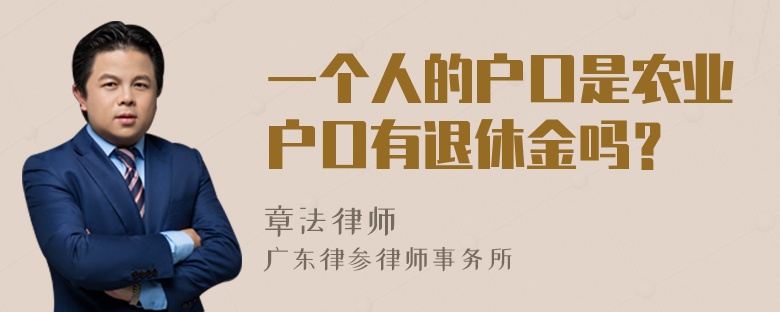 一个人的户口是农业户口有退休金吗？