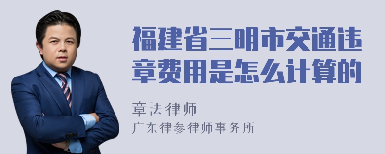 福建省三明市交通违章费用是怎么计算的