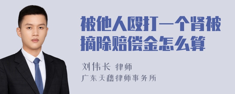 被他人殴打一个肾被摘除赔偿金怎么算