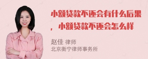 小额贷款不还会有什么后果，小额贷款不还会怎么样