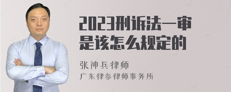 2023刑诉法一审是该怎么规定的