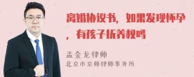 离婚协议书，如果发现怀孕，有孩子抚养权吗