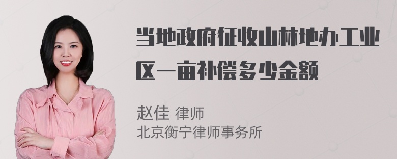 当地政府征收山林地办工业区一亩补偿多少金额