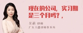 现在的公司，实习期是三个月吗？，