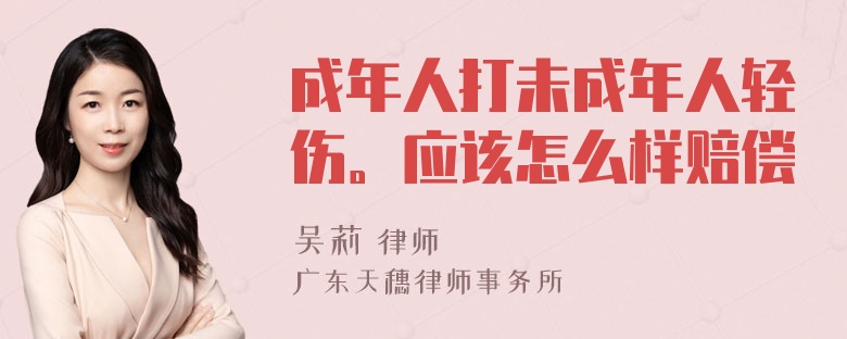 成年人打未成年人轻伤。应该怎么样赔偿