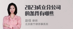 2023成立分公司的条件有哪些