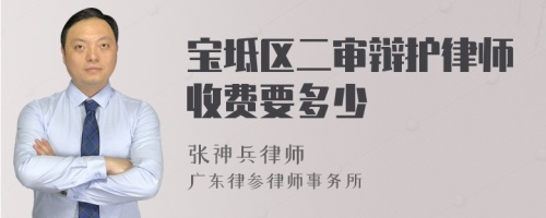 宝坻区二审辩护律师收费要多少