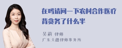 在吗请问一下农村合作医疗背贪务了什么半