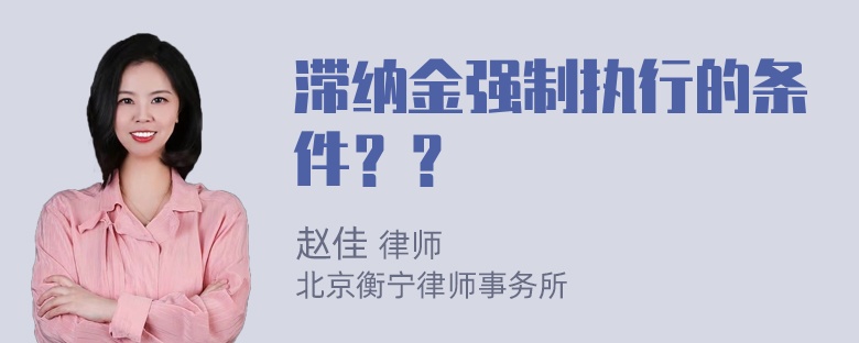 滞纳金强制执行的条件？？