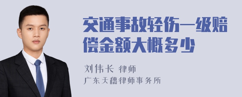 交通事故轻伤一级赔偿金额大概多少