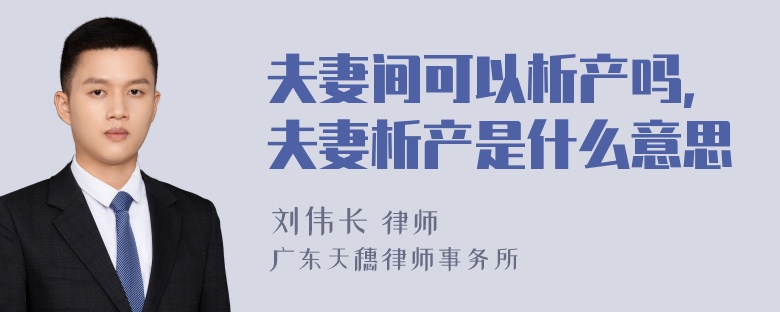 夫妻间可以析产吗，夫妻析产是什么意思