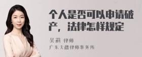 个人是否可以申请破产，法律怎样规定