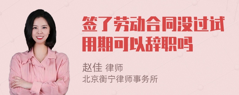 签了劳动合同没过试用期可以辞职吗