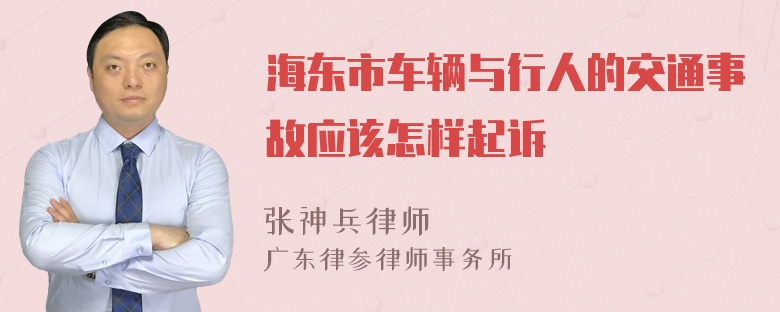 海东市车辆与行人的交通事故应该怎样起诉
