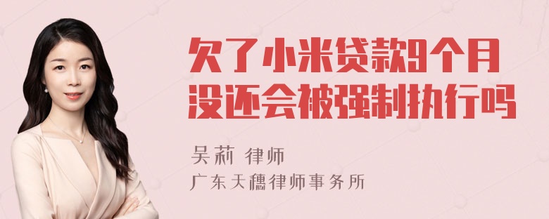 欠了小米贷款9个月没还会被强制执行吗