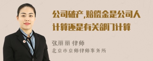 公司破产,赔偿金是公司人计算还是有关部门计算