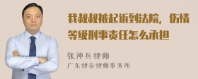 我叔叔被起诉到法院，伤情等级刑事责任怎么承担