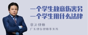 一个学生故意伤害另一个学生用什么法律