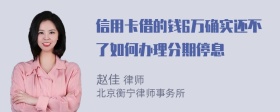 信用卡借的钱6万确实还不了如何办理分期停息