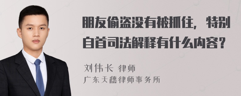 朋友偷盗没有被抓住，特别自首司法解释有什么内容？