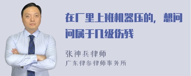 在厂里上班机器压的，想问问属于几级伤残