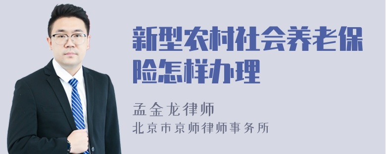 新型农村社会养老保险怎样办理