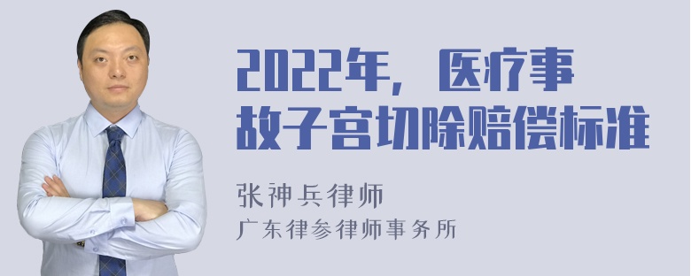 2022年，医疗事故子宫切除赔偿标准