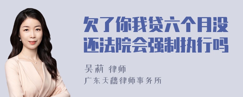 欠了你我贷六个月没还法院会强制执行吗