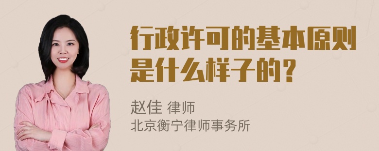 行政许可的基本原则是什么样子的？