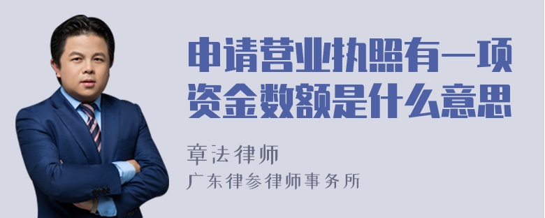 申请营业执照有一项资金数额是什么意思