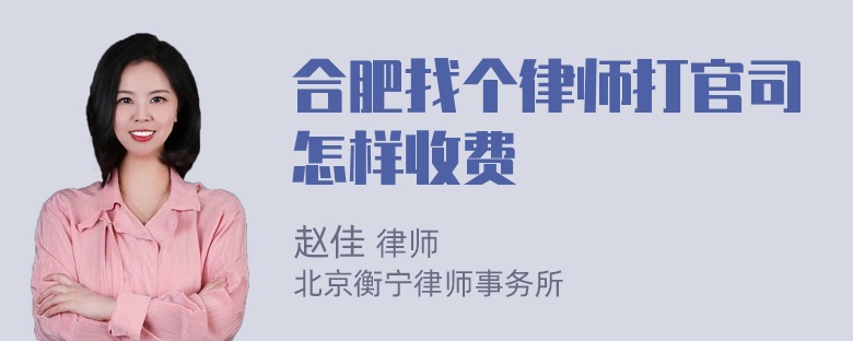 合肥找个律师打官司怎样收费