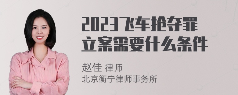 2023飞车抢夺罪立案需要什么条件