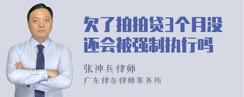 欠了拍拍贷3个月没还会被强制执行吗