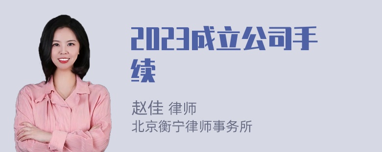 2023成立公司手续