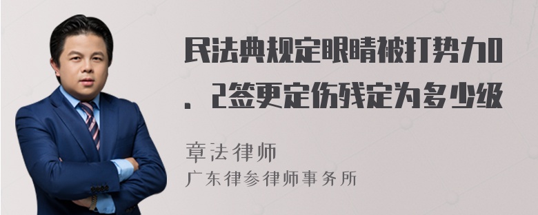 民法典规定眼睛被打势力0．2签更定伤残定为多少级