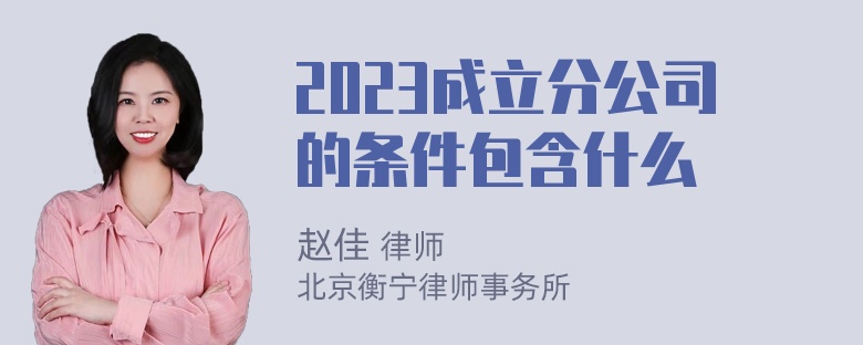 2023成立分公司的条件包含什么