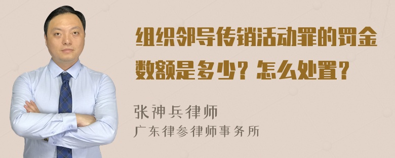 组织邻导传销活动罪的罚金数额是多少？怎么处置？