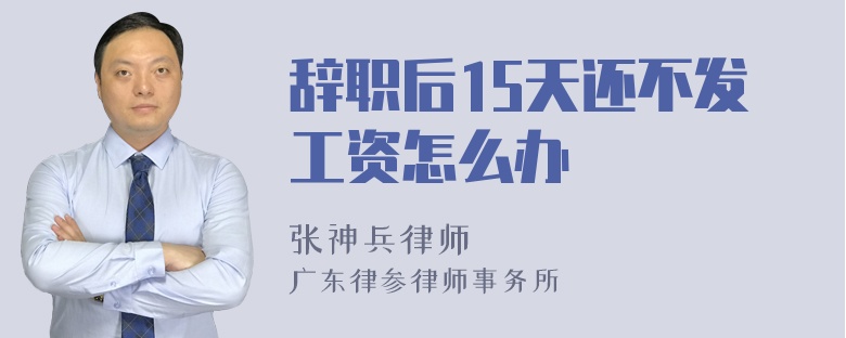 辞职后15天还不发工资怎么办