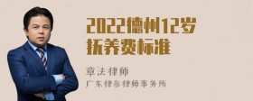 2022德州12岁抚养费标准