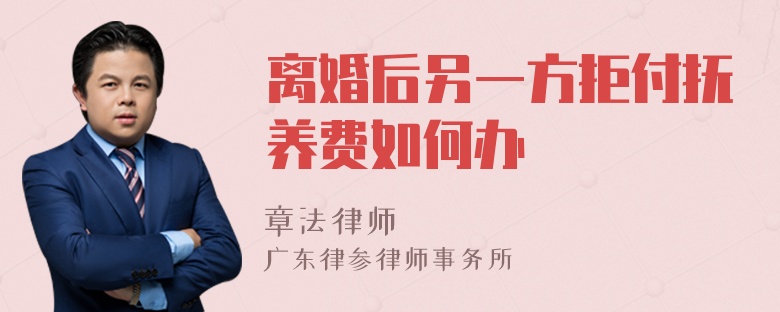 离婚后另一方拒付抚养费如何办