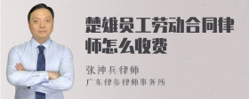 楚雄员工劳动合同律师怎么收费