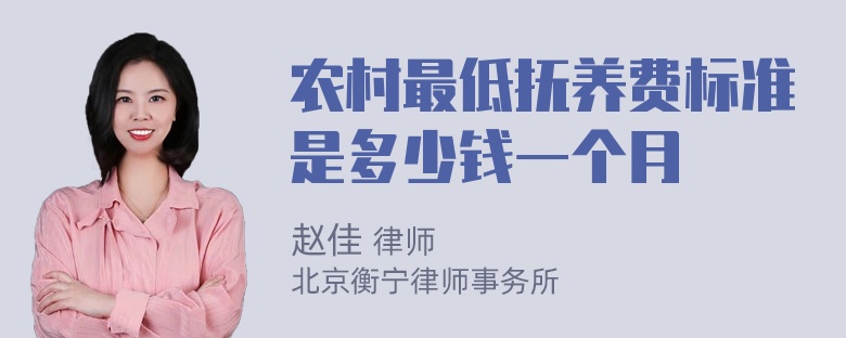 农村最低抚养费标准是多少钱一个月