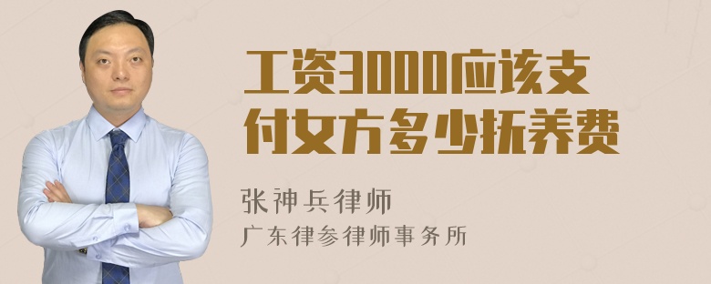 工资3000应该支付女方多少抚养费