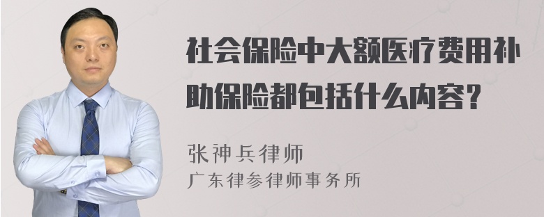 社会保险中大额医疗费用补助保险都包括什么内容？