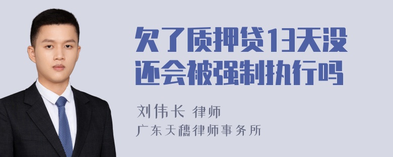 欠了质押贷13天没还会被强制执行吗