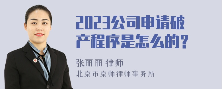 2023公司申请破产程序是怎么的？